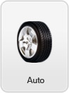 Software for Automobile Parts Stores